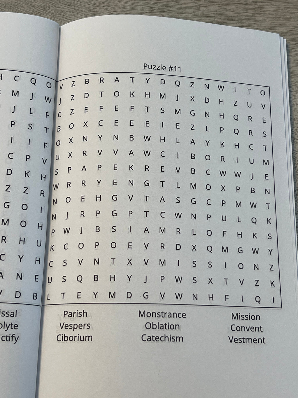 Catholic Word Search Puzzle Book